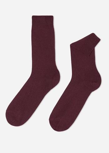 Férfi Calzedonia Crew with Cashmere Zokni Bordó | HU2841AP