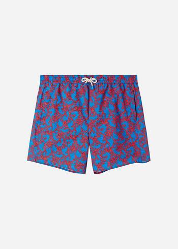 Férfi Calzedonia Formentera Sport Úszónadrágok Kék Narancssárga | HU2946XF