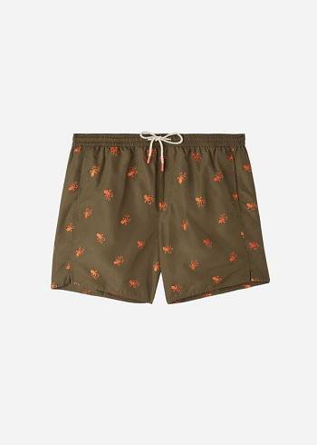 Férfi Calzedonia Formentera Úszónadrágok Barna | HU2937RW