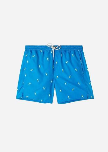 Férfi Calzedonia Formentera Úszónadrágok Kék Szürke | HU2939WY
