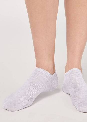 Férfi Calzedonia Pamut No-Show Zokni Titán | HU2900CE