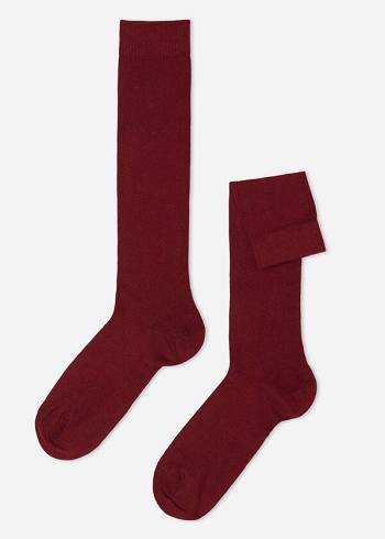 Férfi Calzedonia Warm Pamut Long Zokni Piros | HU2792UT