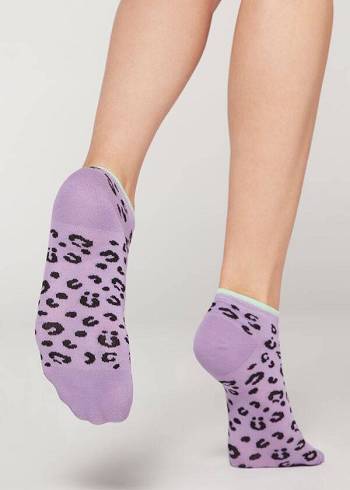 Női Calzedonia Checkered No-Show Zokni Lila | HU2271SO